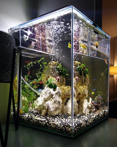 Acquario in plastica