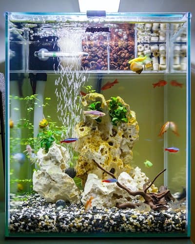 Acquario su misura in policarbonato