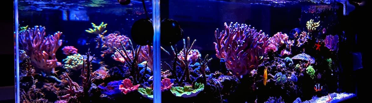 Acquario su misura in plastica