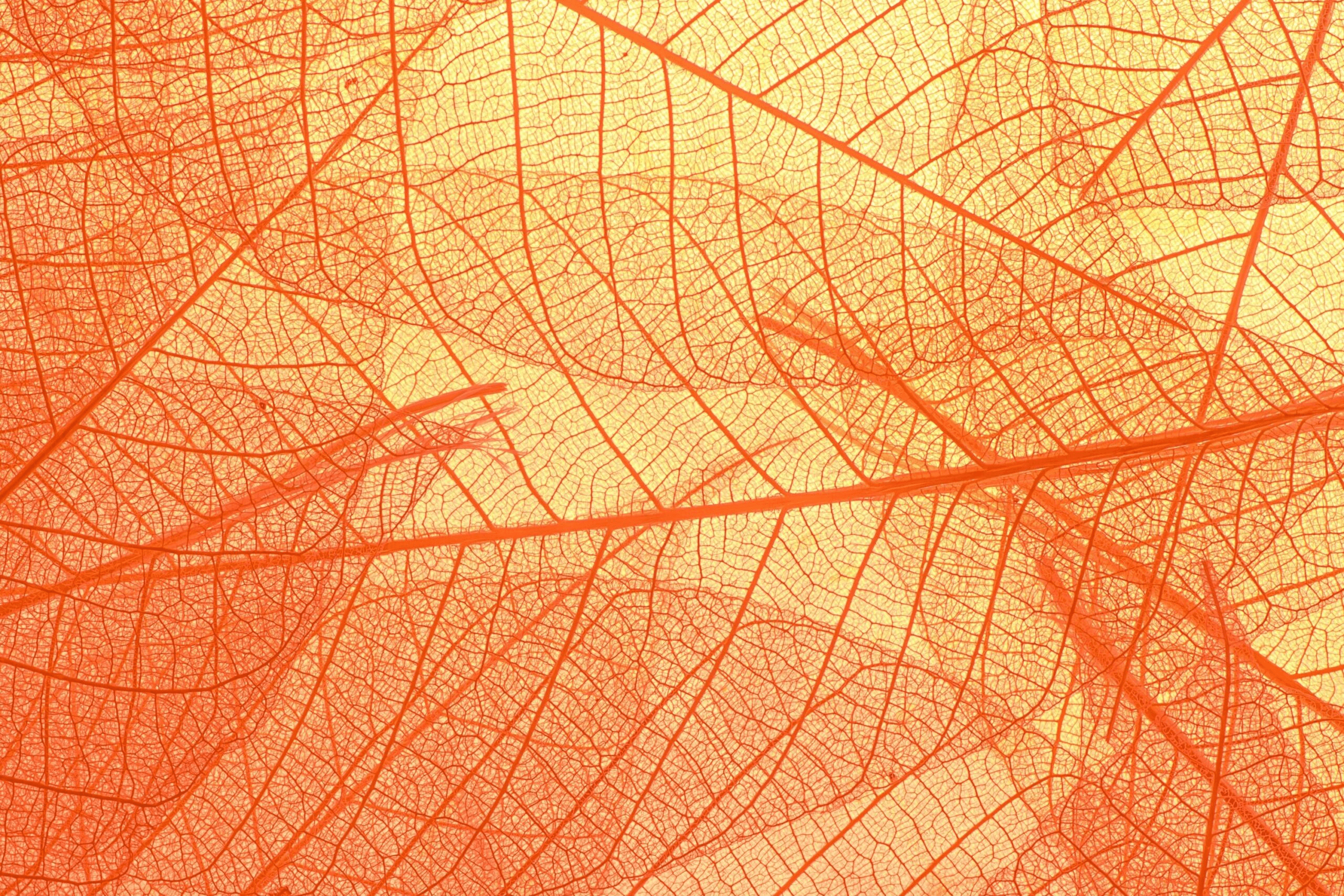 lichtbak-fotografie-kunst-scaled