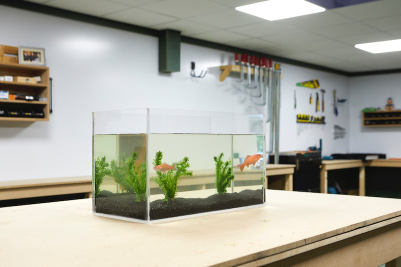 Casetta in plastica per animali